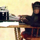 Illustration for article titled Human Evolution Took Points out of Strength to Boost Intelligence